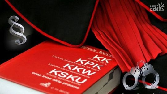 Do więzienia za kradzieże i oszustwa