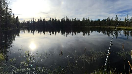 Dobra wiadomość dla wędkarzy. Można łowić amatorsko