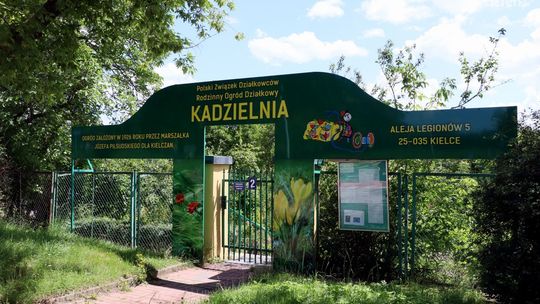 Dotacje dla ogrodów działkowych. Wnioski można składać do 5 lipca