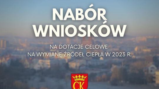 Dotacje na wymianę „kopciuchów”. Ruszył nabór wniosków