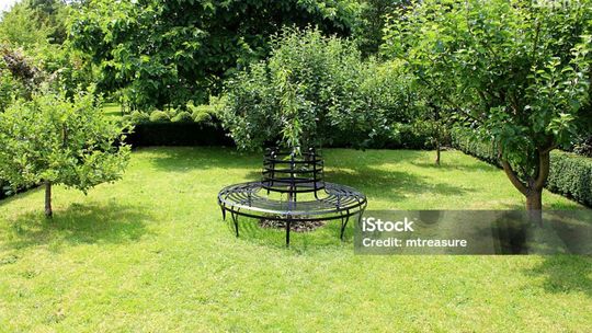 Dotacje z budżetu miasta dla ostrowieckich  działkowców 