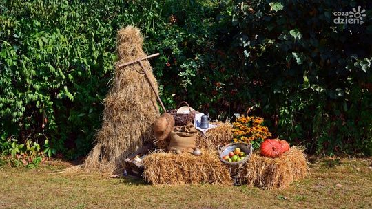 Dożynki i Festyn Rodzinny w Jędrzejowie