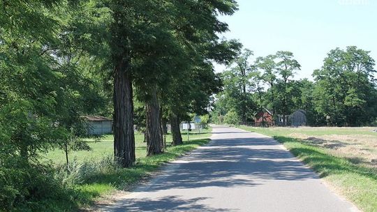 Drogi w gminie Bodzechów do remontu
