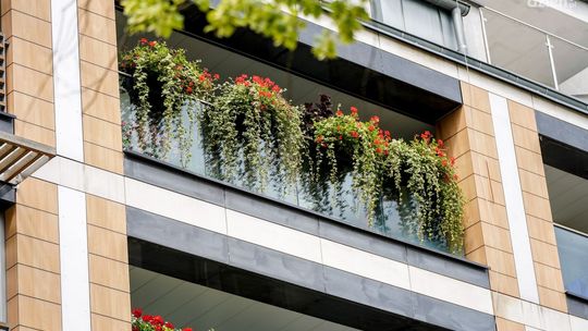 Druga edycja konkursu na najpiękniejszy balkon w Kielcach