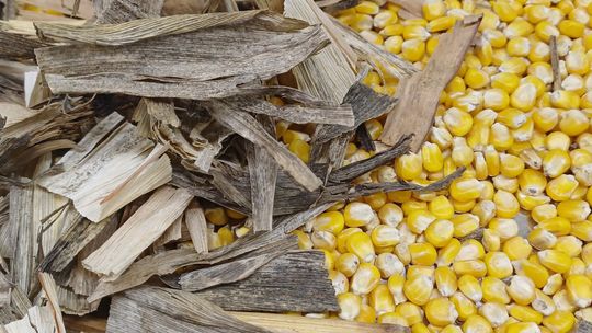 Drugie życie odpadów. Sprawdź, jak wykorzystać ich potencjał