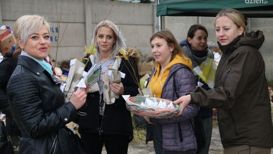 Drzewka za makulaturę - rozdali blisko sto sadzonek