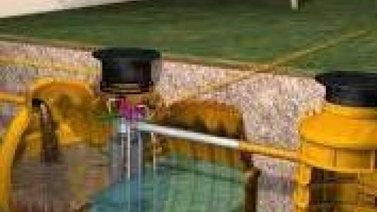 Duże zainteresowanie przydomowymi oczyszczalniami ścieków w gminie Ćmielów 