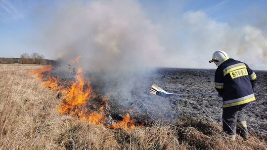 Duży pożar traw w Brzóstowie
