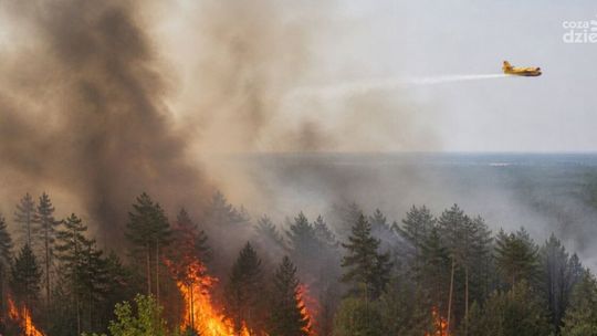 Dwa groźne pożary lasów w powiecie staszowskim. W akcji samoloty gaśnicze