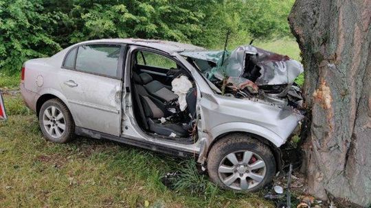 Dwóch mężczyzn zmarło po uderzeniu autem w drzewo