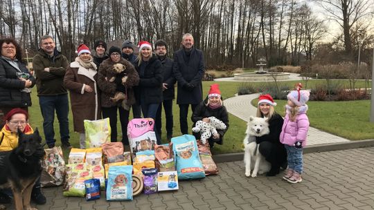 Działacze ostrowieckiej  PO nie zapominają też o bezdomnych  zwierzętach 