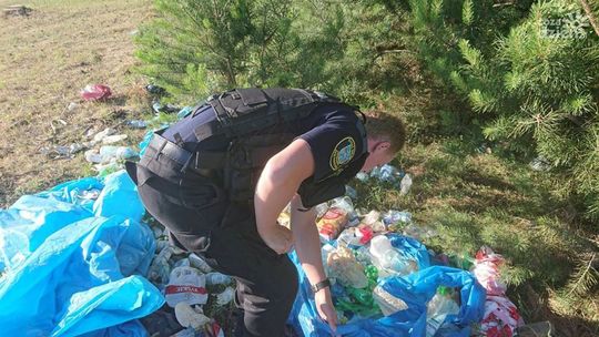 Dzikie wysypiska wyrastają, jak grzyby po deszczu