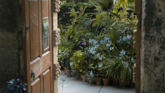 Dziś piękność twą w całej ozdobie widzę i opisuję, bo tęsknię po tobie