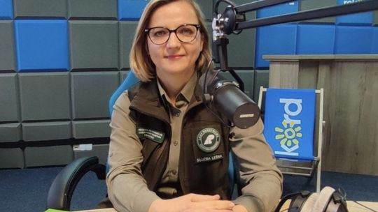 E. Nowicka: Mamy w lasach mnóstwo ukrytych skarbów