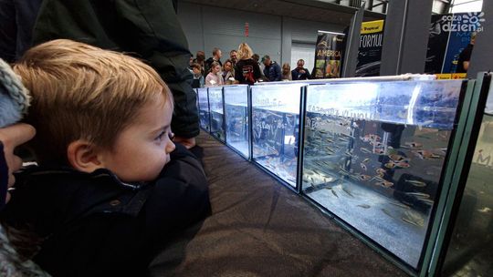 Egzotyczne gatunki zwierząt i roślin na Exotic Fest Kielce