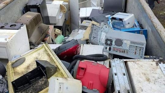 Ekologia się opłaca 