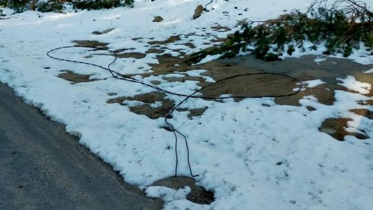 Energetycy nadal usuwają awarie  spowodowanej śnieżycą 