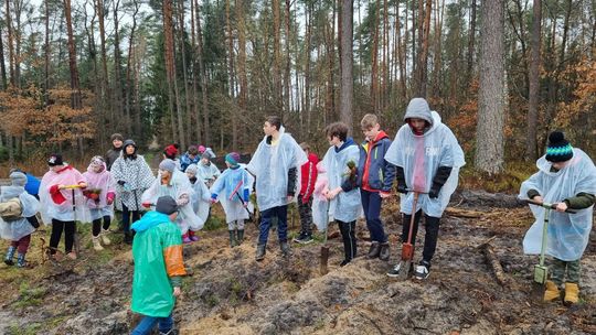 Energetycy razem z dziećmi sadzili las 