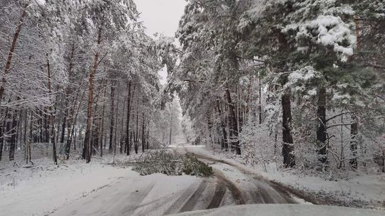 Energetycy  z PGE Skarżysko naprawiają zerwane sieci, ale mokry śnieg i wiatr nie ułatwiają pracy 
