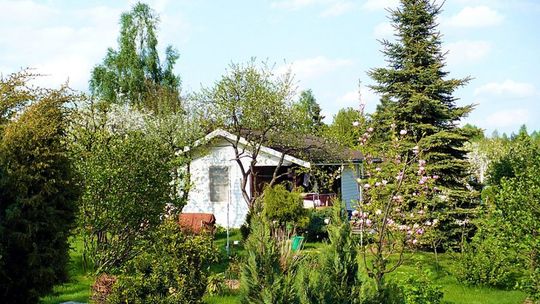 Epidemia. Boom na działki w Ostrowcu Św.