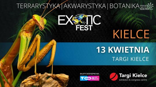 Exotic Fest ponownie w Targach Kielce – egzotyczny świat fascynujących stworzeń i roślin w jednym miejscu!