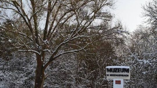 Ferie w muzeum - warsztaty i spacery po rezerwacie