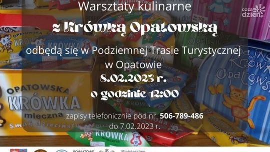 Ferie z opatowskimi krówkami 