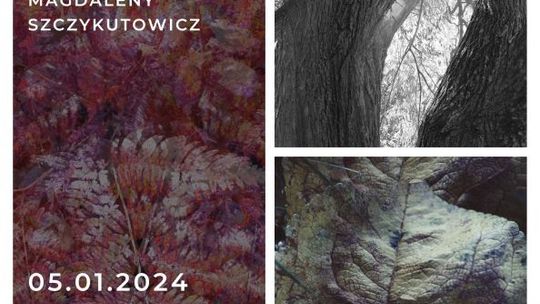 Figury drzew - wystawa fotografii Magdaleny Szczykutowicz