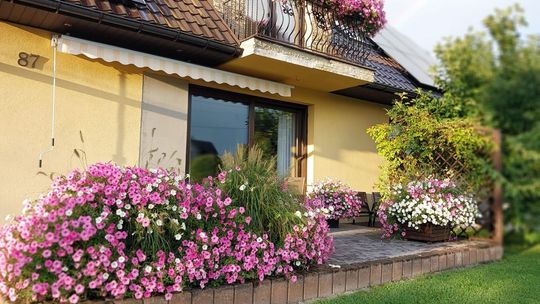 Finał konkursu ukwieconych balkonów i ogrodów (galeria)