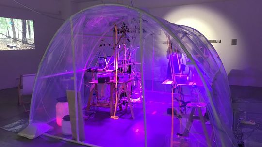 Finisaż wystawy w ostrowieckim BWA