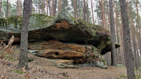 Gdzie na spacer - "Skały w Krynkach"