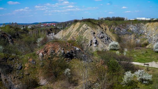 Geofestiwal 2026 rozpoczął się na Wietrzni. Nauka, przyroda i sztuka przyciągają całe rodziny