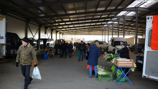 Gmina Ostrowiec wyznaczyła nieodpłatne miejsca do handlu przez rolników