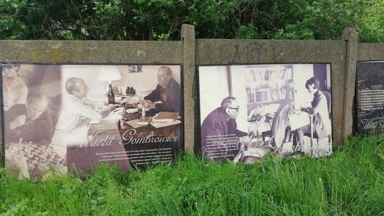 Gombrowicz znowu w Ostrowcu