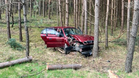 Groźne zdarzenie na drodze wojewódzkiej. Drzewo na jezdni