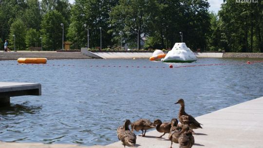 Gutwin już otwarty!