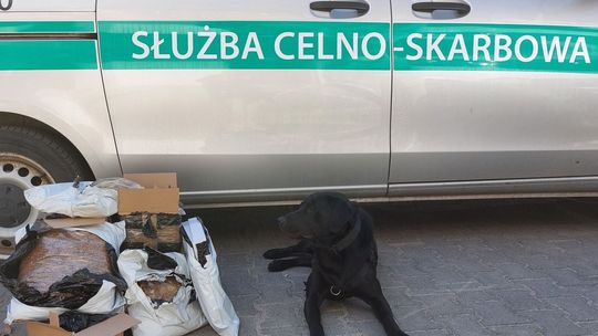 Handel nielegalnym tytoniem udaremniony. Towar znajdował się w paczkach kurierskich