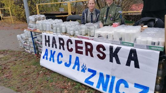 Harcerskie akcje na cmentarzach 