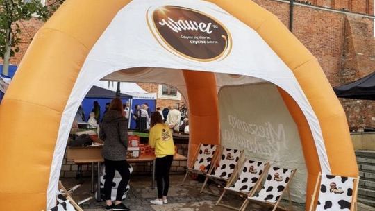 Izabela Augustyn-Mrzygłód: Sandomierz zaleje czekolada