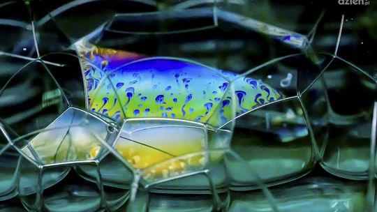 Jak barwy wpływają na nasze życie codzienne