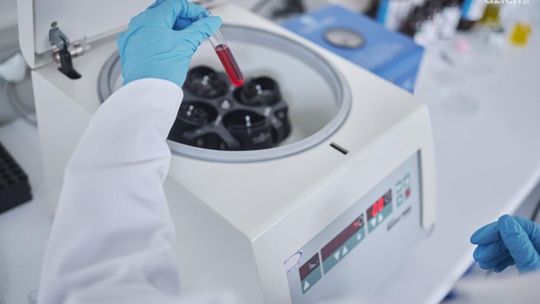 Jak działa cieplarka laboratoryjna?