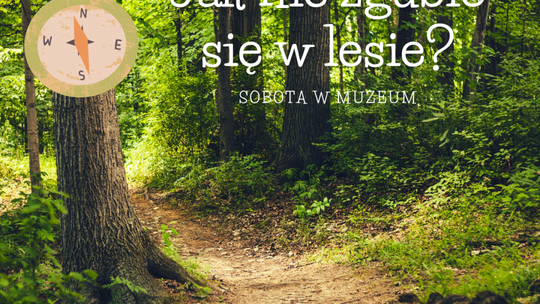 Jak nie zgubić się w lesie? 