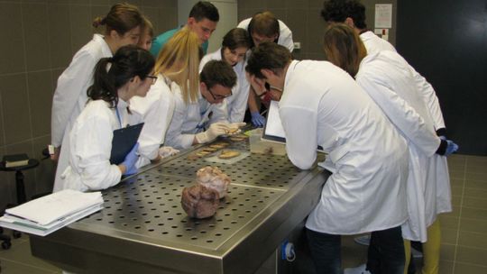 Jak student może skorzystać z pomocy medycznej w nowym mieście?