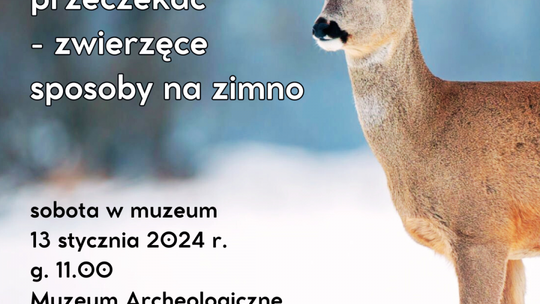 Jak zwierzęta radzą sobie zimą?