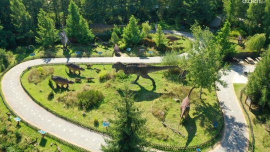 JuraPark w Bałtowie najpopularniejszą atrakcją w województwie świętokrzyskim