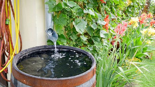 Kielczanie mogą wnioskować o dotacje na zbieranie deszczówki