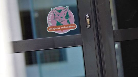 Kielecki Ratusz dołączył do sieci miejsc przyjaznych zwierzakom