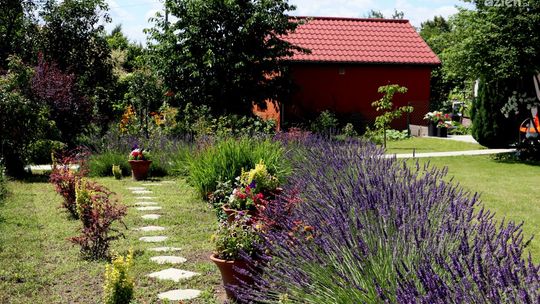 Kieleckie ogrody działkowe ze wsparciem z budżetu miasta