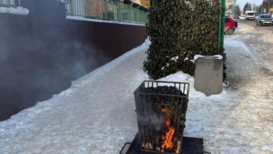 Koksowniki na przystankach w Starachowicach