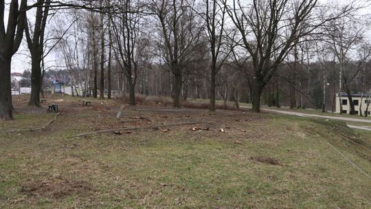 Kolejne strefy zieleni w Starachowicach